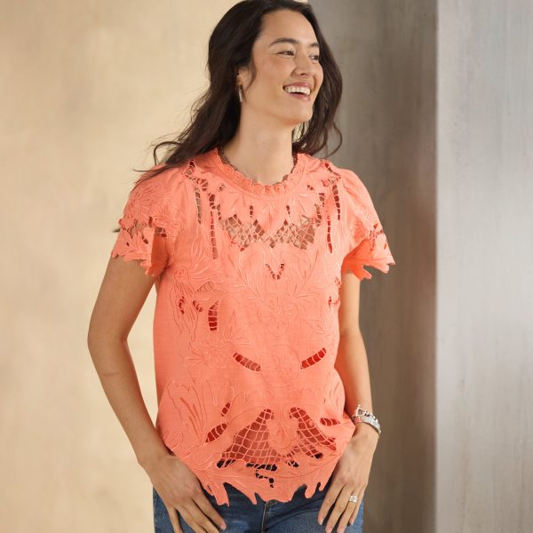 Ayre Lace Top. Petite